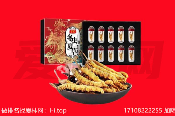 包头回收虫草.jpg